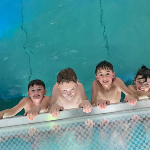 Wasserratten 