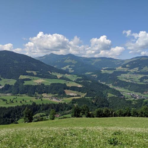 Alpenschule - Kräuter