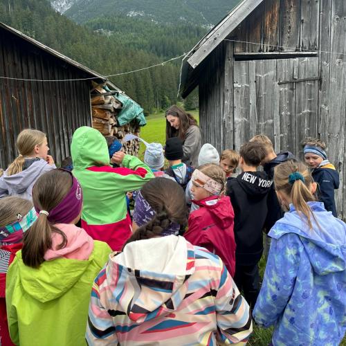 Orientierungslauf 