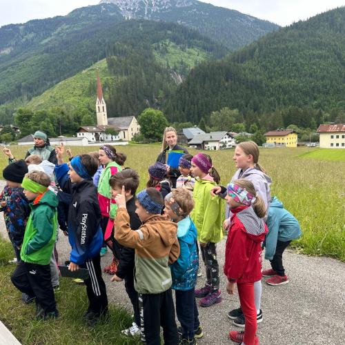 Orientierungslauf 