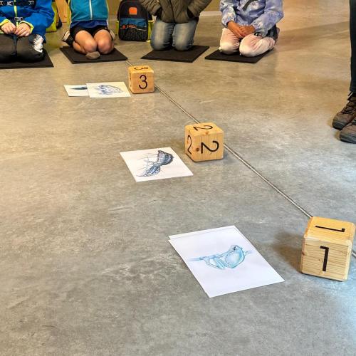 Sonderausstellung in Elmen „ Der letzte Wilde“