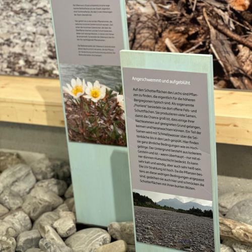 Sonderausstellung in Elmen „ Der letzte Wilde“
