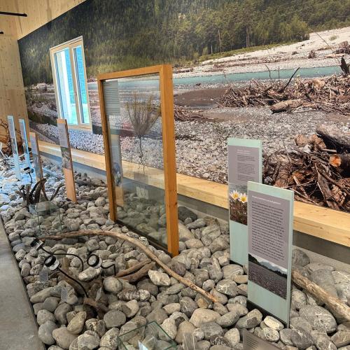 Sonderausstellung in Elmen „ Der letzte Wilde“