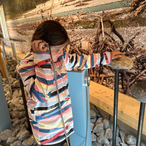 Sonderausstellung in Elmen „ Der letzte Wilde“