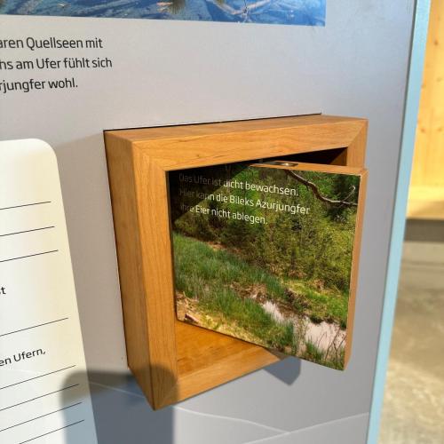 Sonderausstellung in Elmen „ Der letzte Wilde“