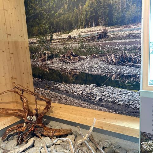 Sonderausstellung in Elmen „ Der letzte Wilde“