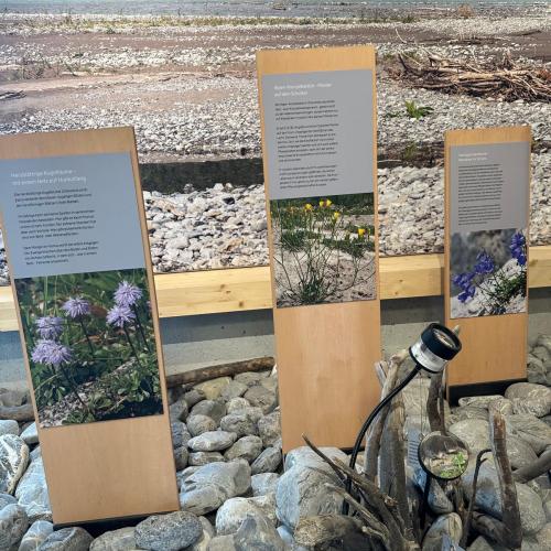 Sonderausstellung in Elmen „ Der letzte Wilde“