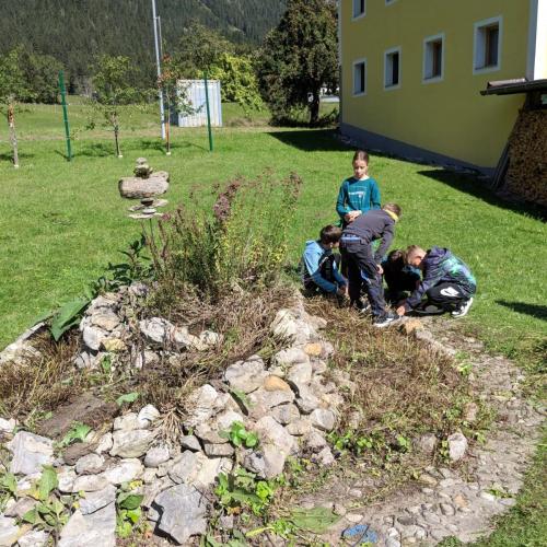 Kräuterschnecke