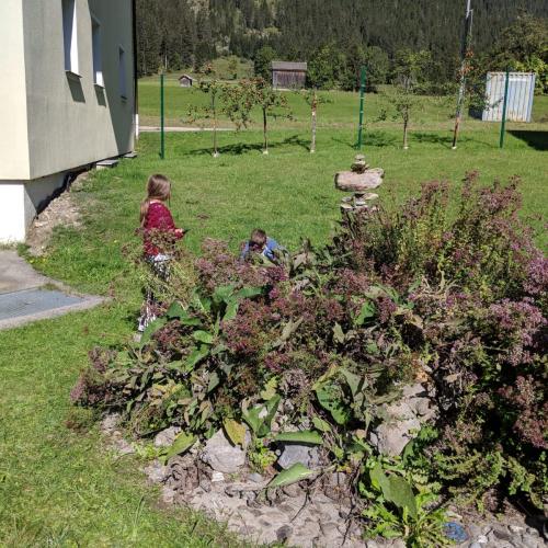 Kräuterschnecke