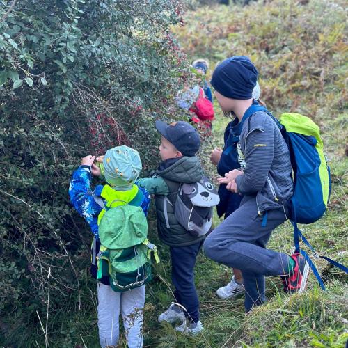 Wandertag nach Elmen