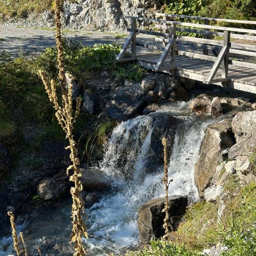 Wandertag nach Elmen