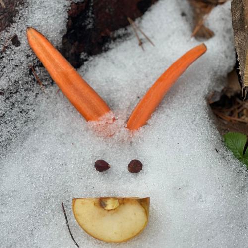Waldweihnacht