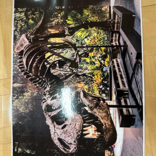 Dinosaurier