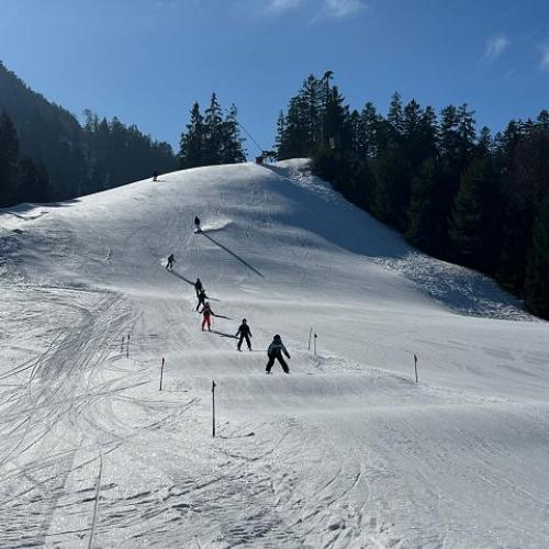 Schifahren