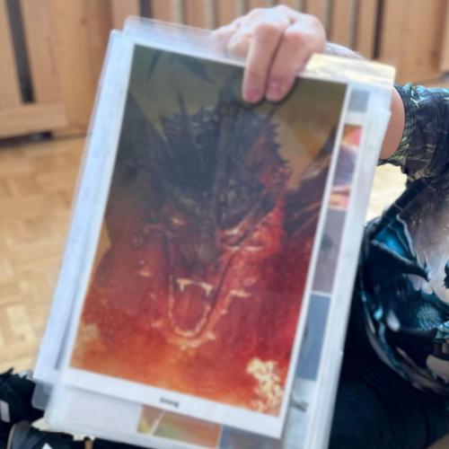 die Drachen