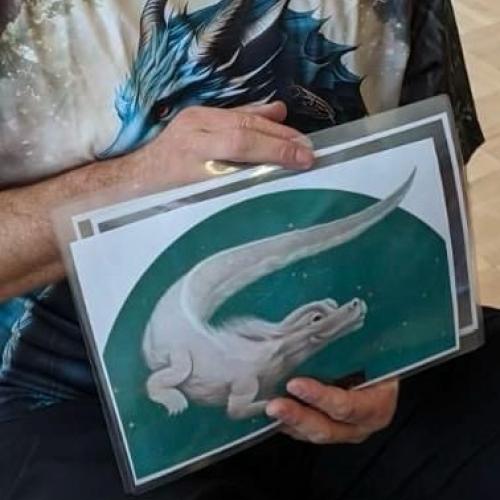 die Drachen