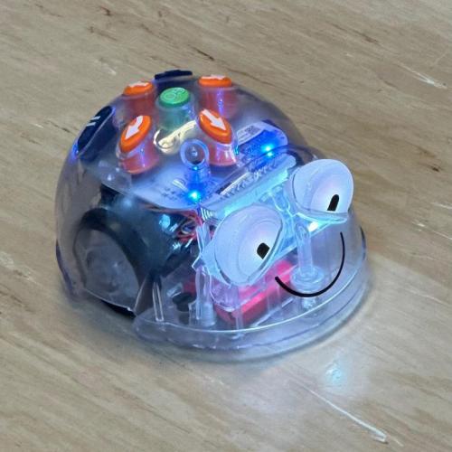 Bee-Bots