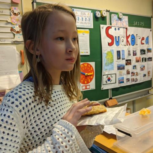 Referat über Südkorea