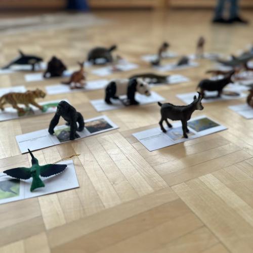 Workshop“ Die Tiere dieser Welt“