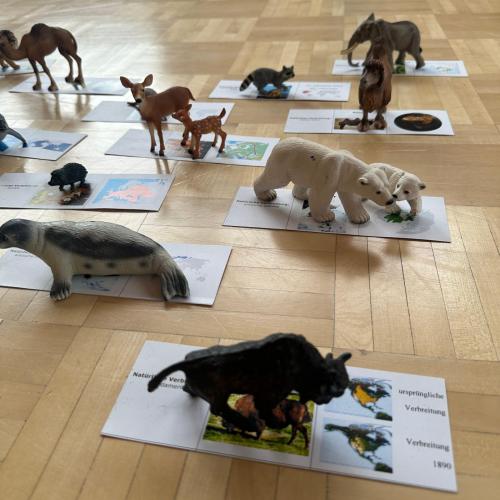 Workshop“ Die Tiere dieser Welt“