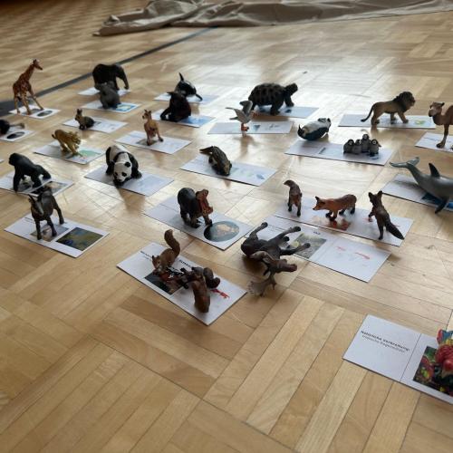 Workshop“ Die Tiere dieser Welt“
