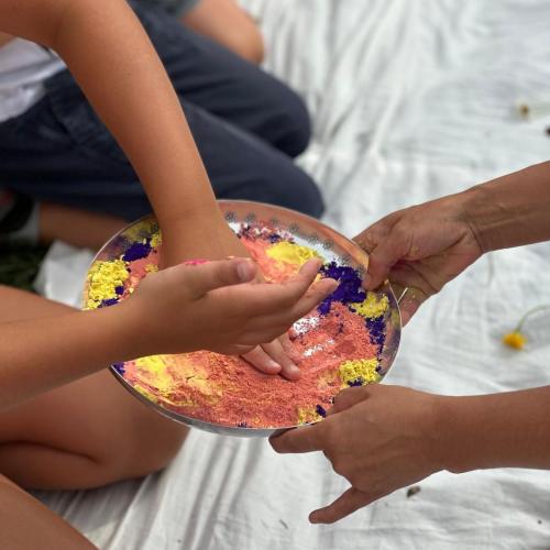 Holi Fest 