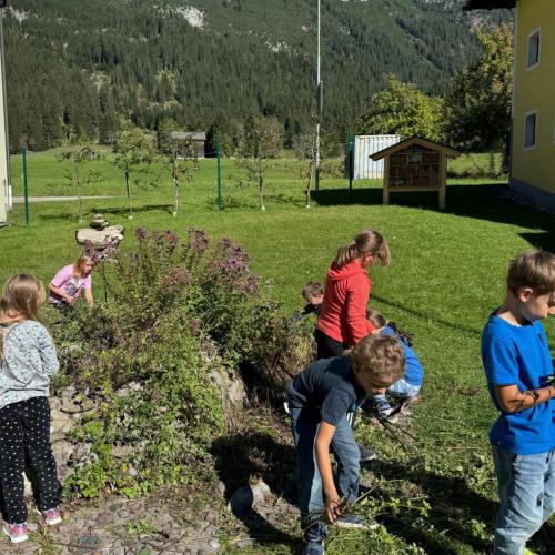 Kräuterspirale 