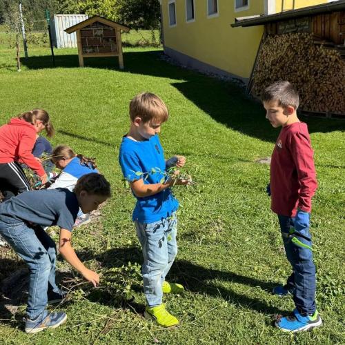 Kräuterspirale 