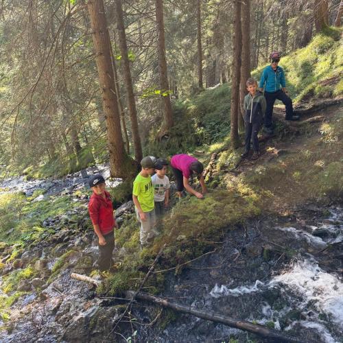 Wandern Kennenlernen Brücken bauen