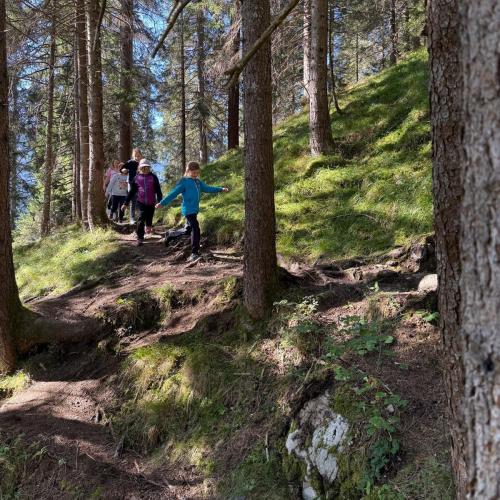 Wandern Kennenlernen Brücken bauen