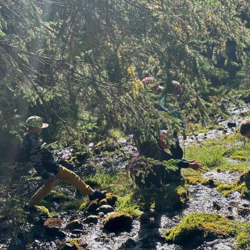 Wandern Kennenlernen Brücken bauen