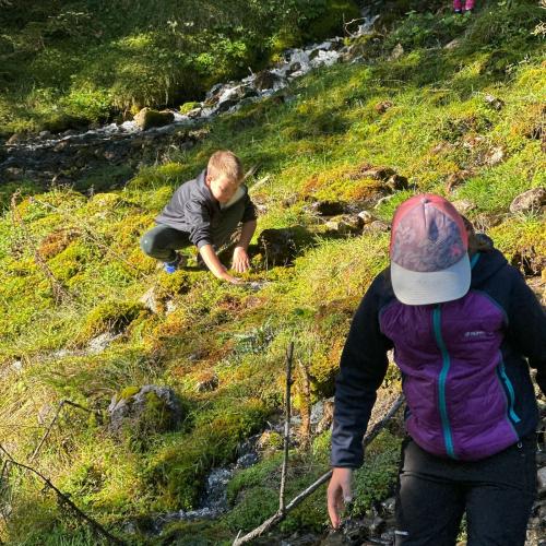 Wandern Kennenlernen Brücken bauen