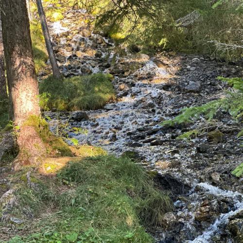 Wandern Kennenlernen Brücken bauen