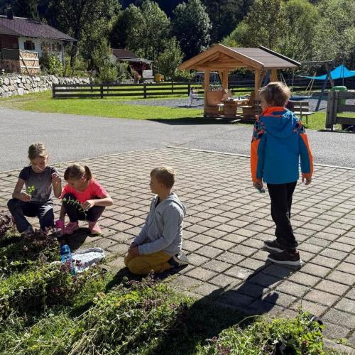 Kräuterspirale 