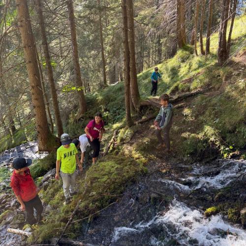 Wandern Kennenlernen Brücken bauen