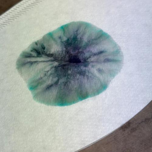 Workshop zum Thema Licht und Farben