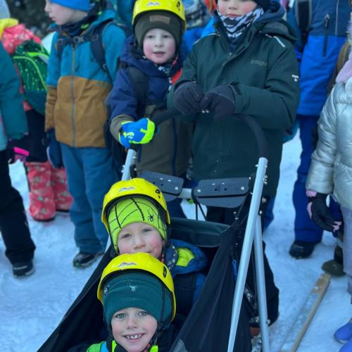 Husky-Trekking in Gramais