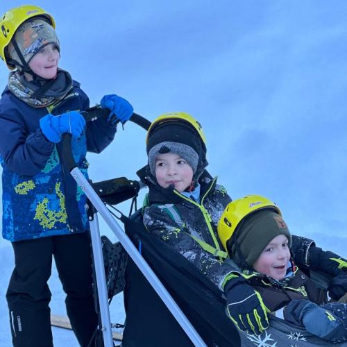 Husky-Trekking in Gramais