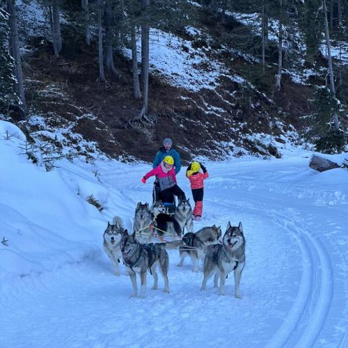 Husky-Trekking in Gramais