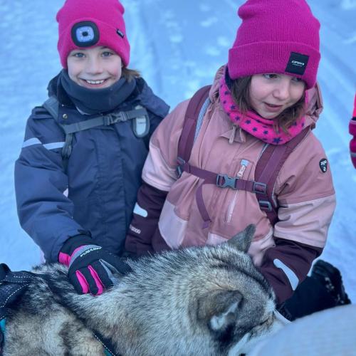 Husky-Trekking in Gramais