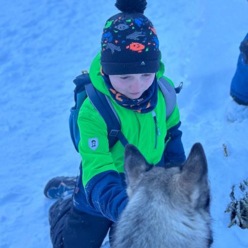 Husky-Trekking in Gramais