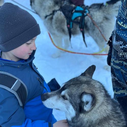 Husky-Trekking in Gramais