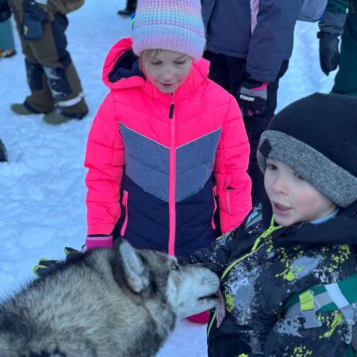 Husky-Trekking in Gramais