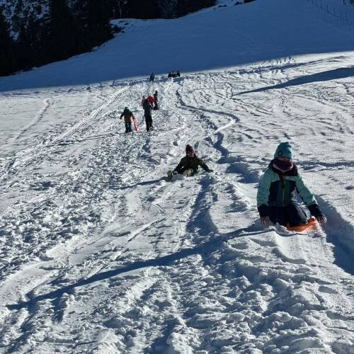 Husky-Trekking in Gramais