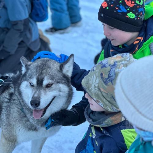 Husky-Trekking in Gramais