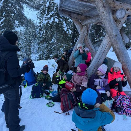 Husky-Trekking in Gramais