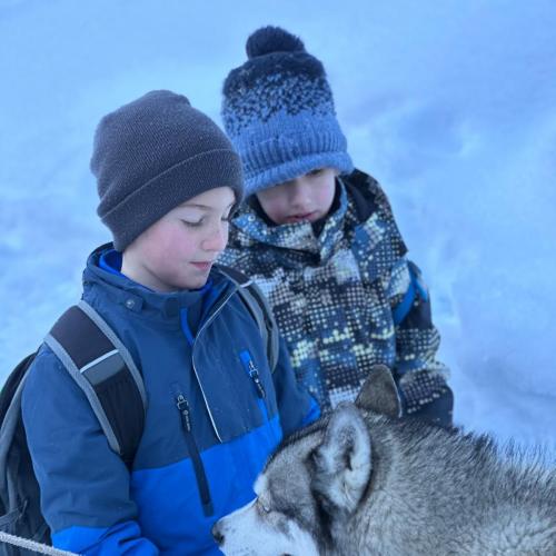 Husky-Trekking in Gramais