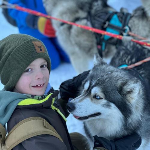 Husky-Trekking in Gramais