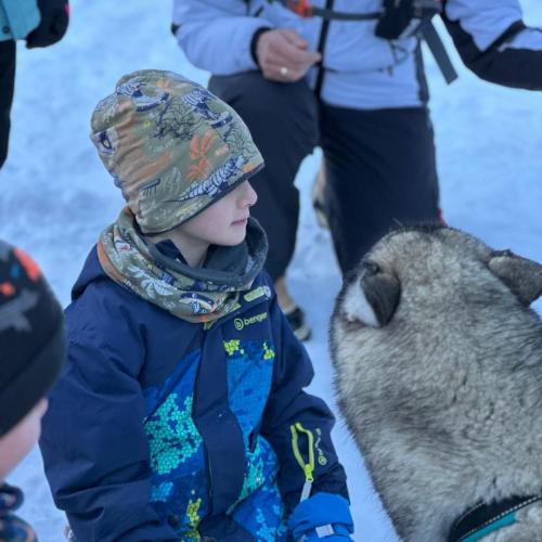 Husky-Trekking in Gramais