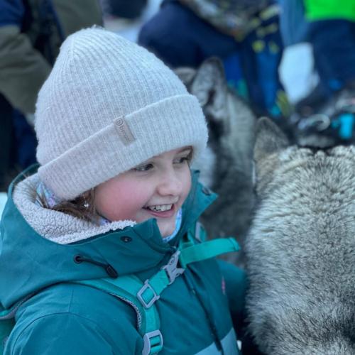 Husky-Trekking in Gramais